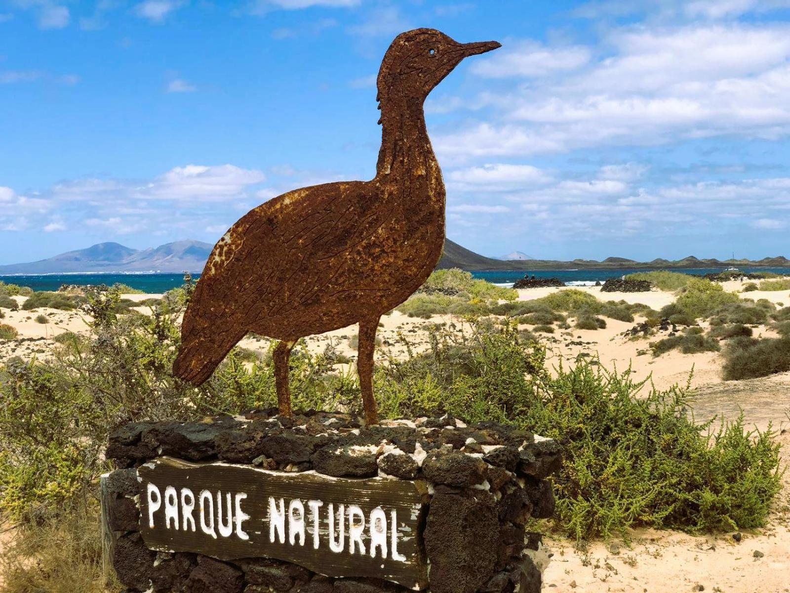 Royal Blue Corralejo By Sea You There Fuerteventura 외부 사진