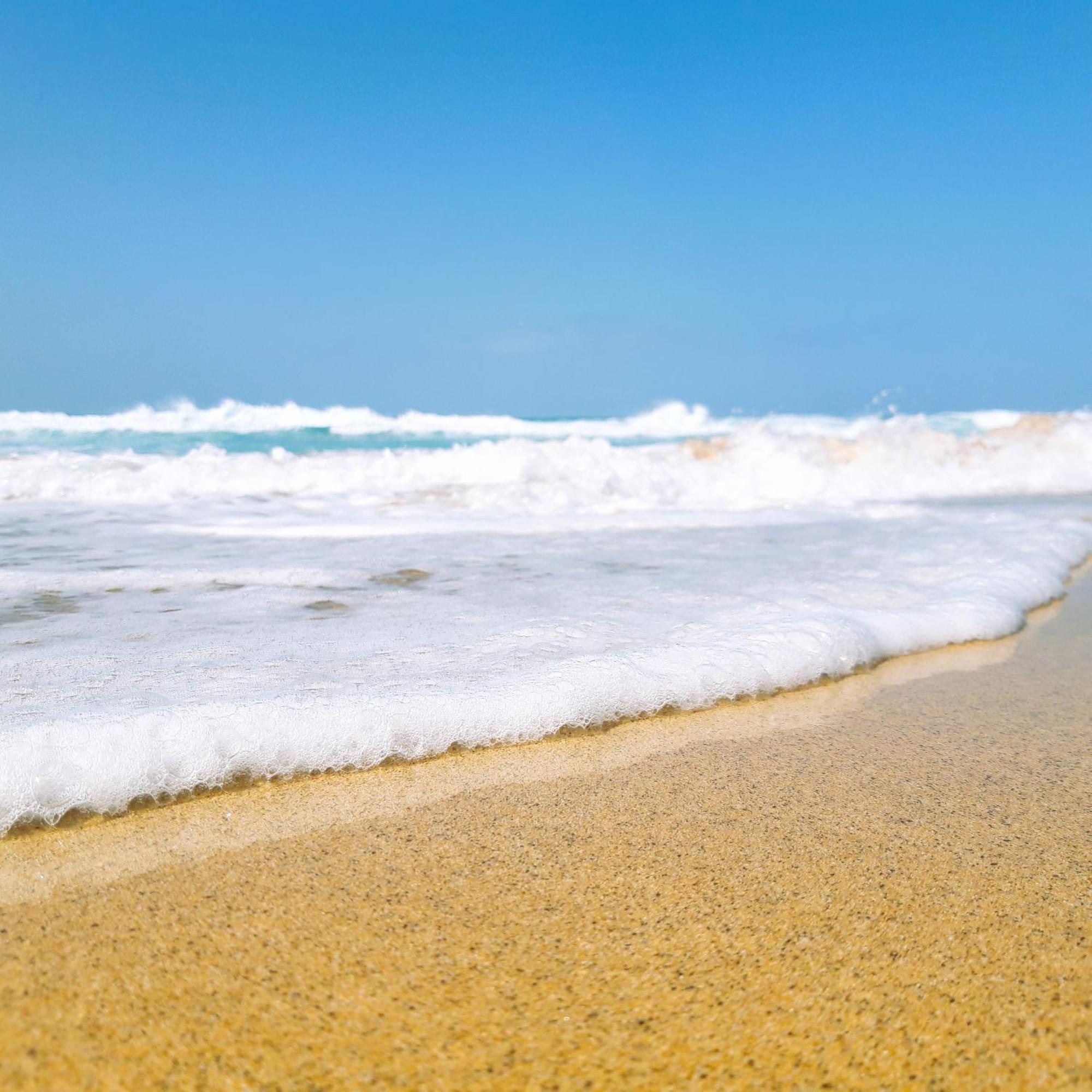 Royal Blue Corralejo By Sea You There Fuerteventura 외부 사진